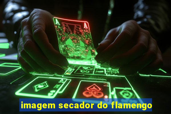 imagem secador do flamengo